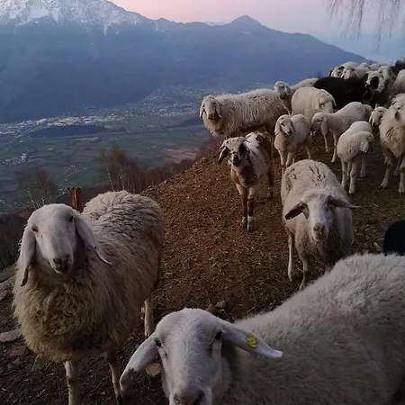 Giacomino Country house *